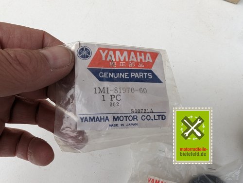 PXL_20240528_173552037
